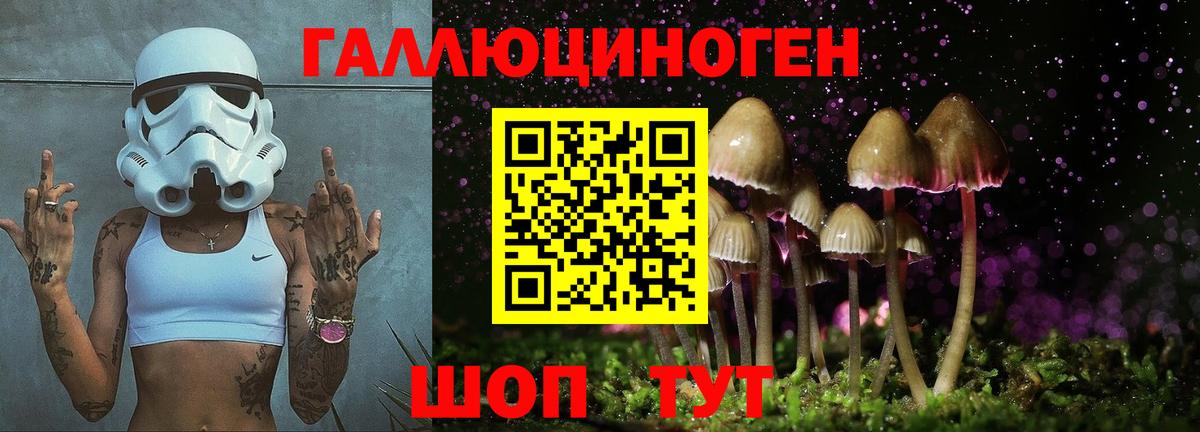 Псилоцибиновые грибы мухоморы  Вход с VPN  Славянск-на-Кубани  Галлюциногенные грибы мухоморы 